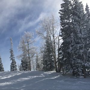 Meet your Posher, Jodi